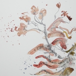 Flowers and Questions III (45x56 cm)