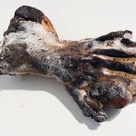 yougottoburntoshine_0